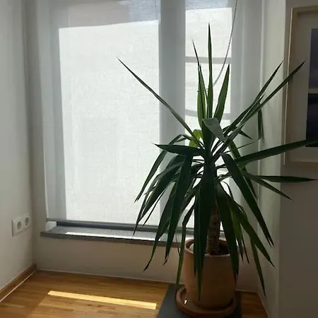 Style Duplex